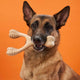 BETTER BONE | All-Natural Dog Chew Bones