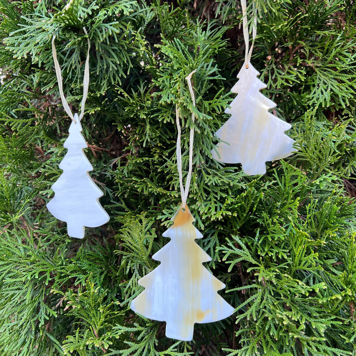 Horn Evergreen Tree Ornament