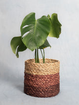 Sabai Plant Holder / Basket - Brown