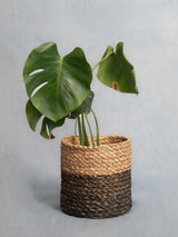 Sabaii Plant Holder Basket - Natural and Black - Sumiye Co