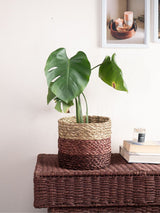 Sabai Plant Holder / Basket - Brown