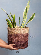 Sabai Plant Holder / Basket - Brown