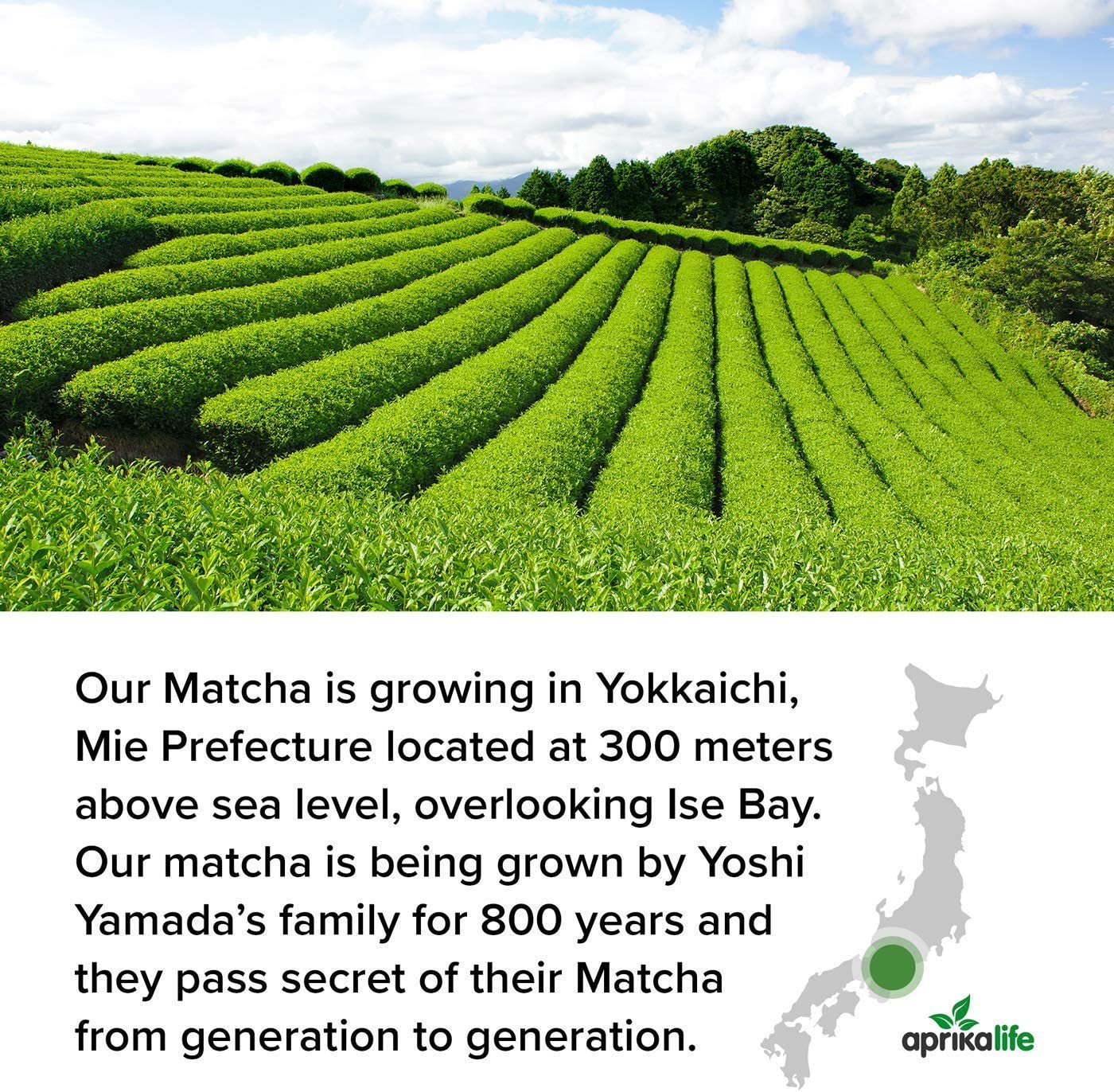 Black Matcha Tea Gift Set by Aprika Life