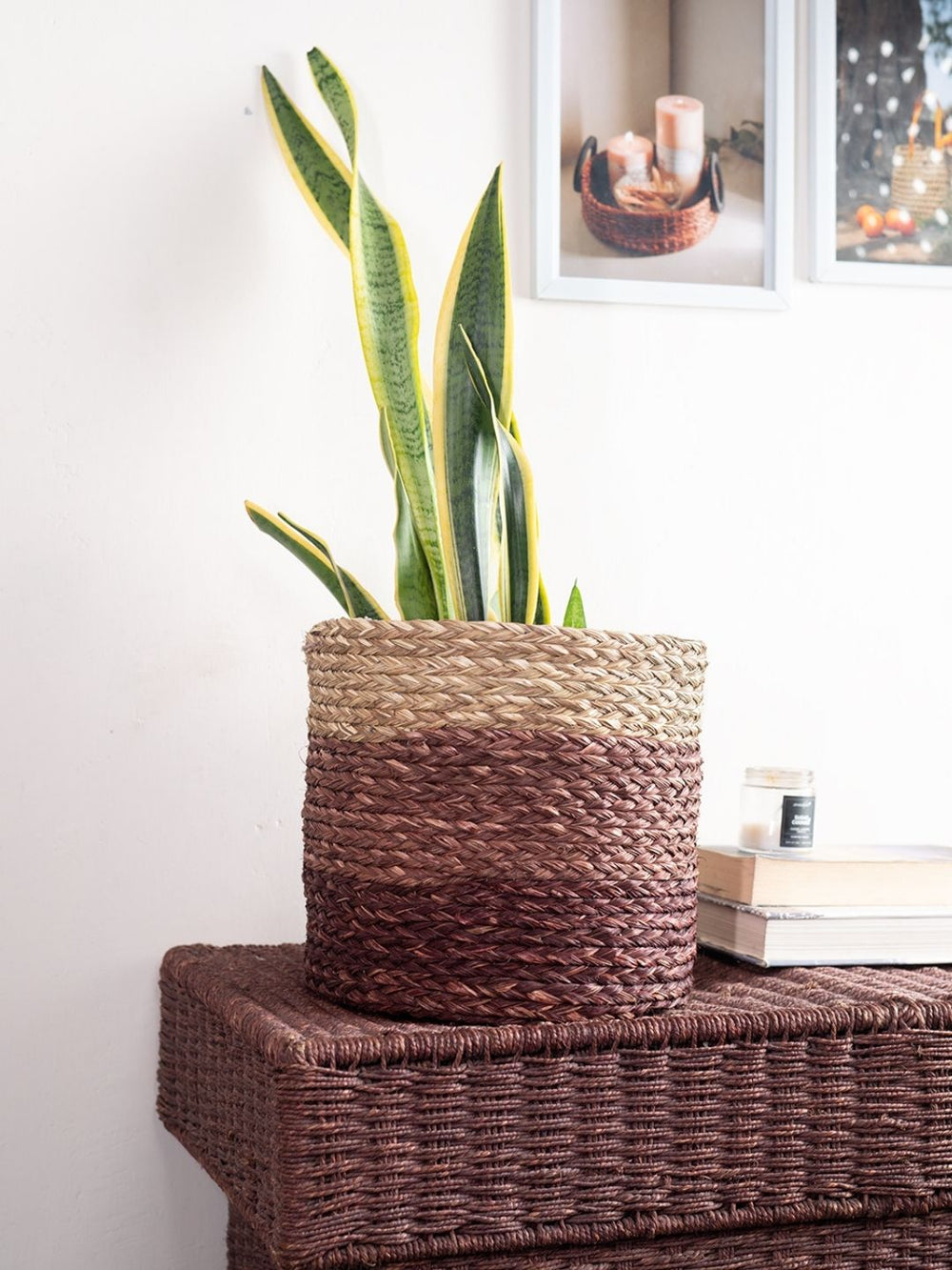 Sabai Plant Holder / Basket - Brown