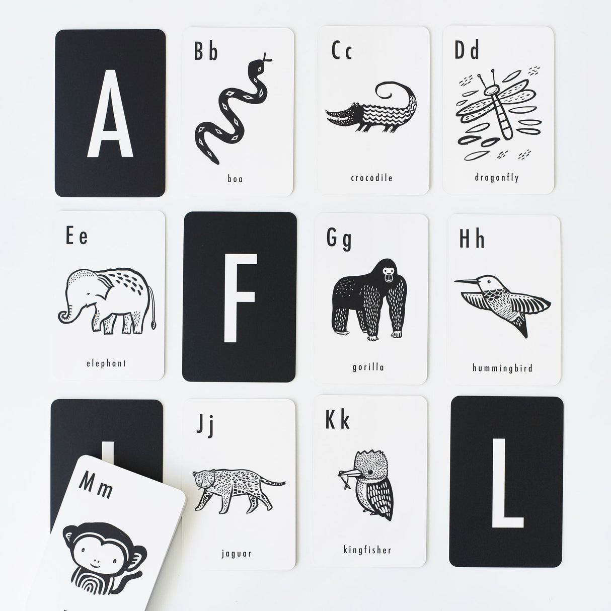 Jungle Alphabet Cards - Sumiye Co