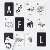 Jungle Alphabet Cards