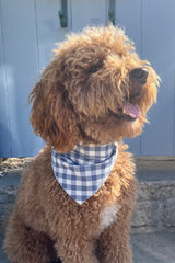 Pet Gingham Bandana