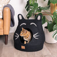 Boy Cat Design | Ear Style Cave - Sumiye Co