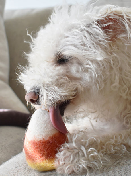 Pet Toy Wool Candy Corn