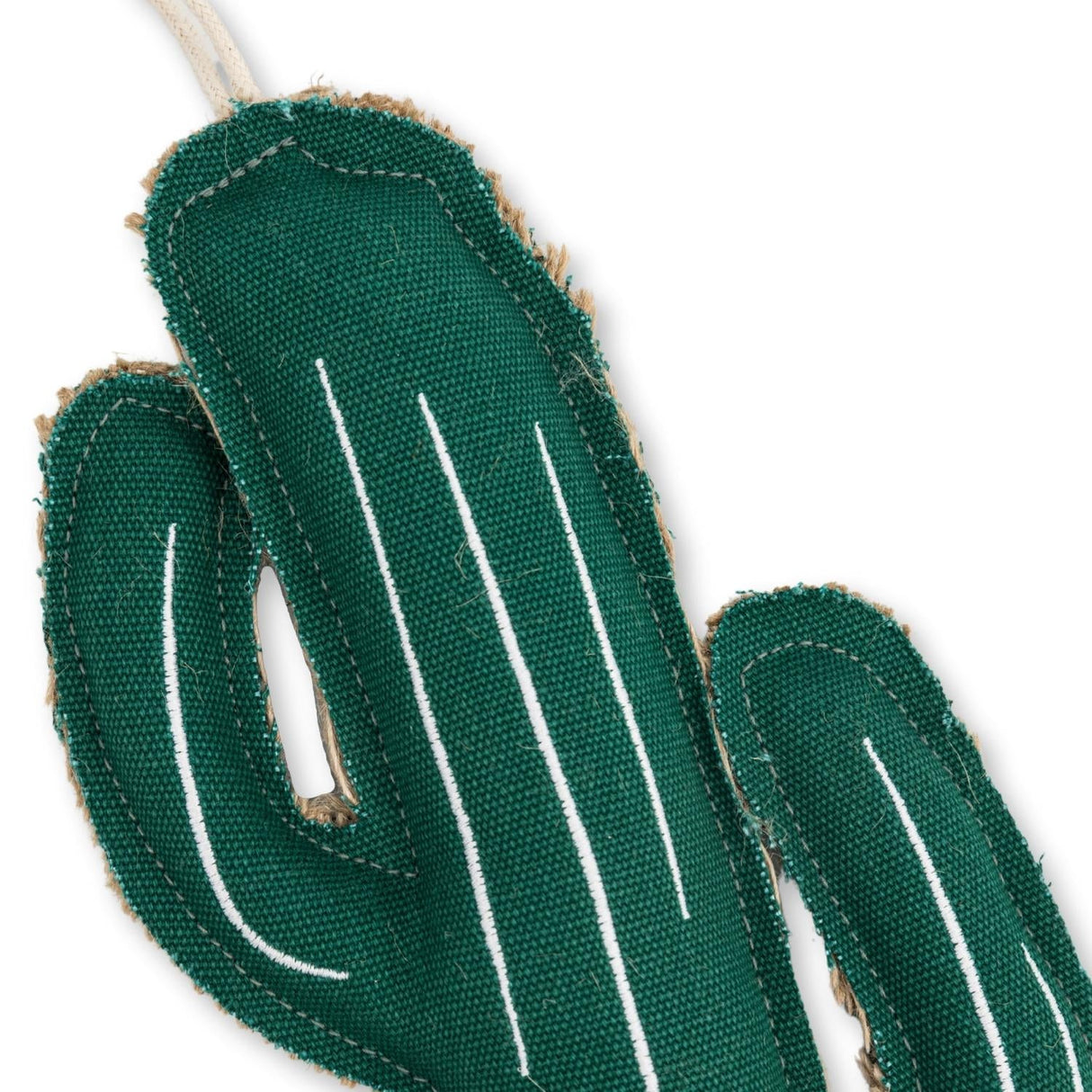 Sustainable Cactus-Shaped Canvas & Jute Chew Toy for Dogs-1