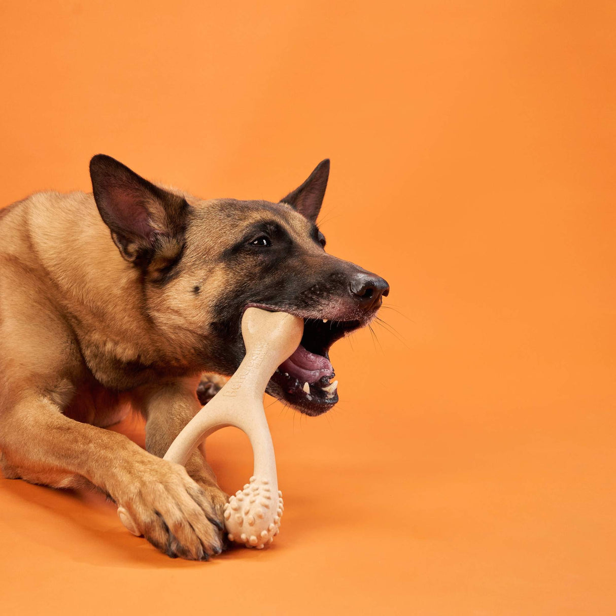 BetterBone Hard Density - Tough, All-Natural, Dog Chews