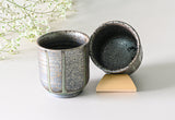 Japanese Green Tea Set - Teapot with Filters (230ml) + 2 Cups | Tea Ceremony