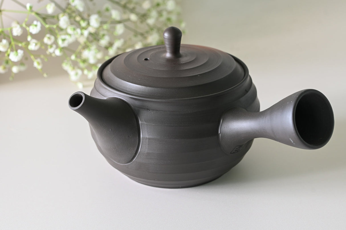 Japanese Green Tea Set - Teapot with Filters (270ml) + 2 Cups | Tea Ceremony