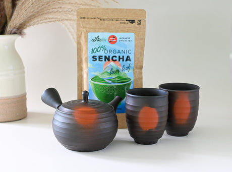 Japanese Green Tea Set - Teapot with Filters (270ml) + 2 Cups | Tea Ceremony