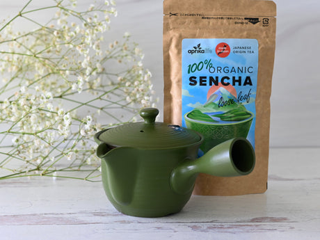 Tetera Kyusu japonesa hecha a mano con filtros (380 ml) | Ceremonia del té