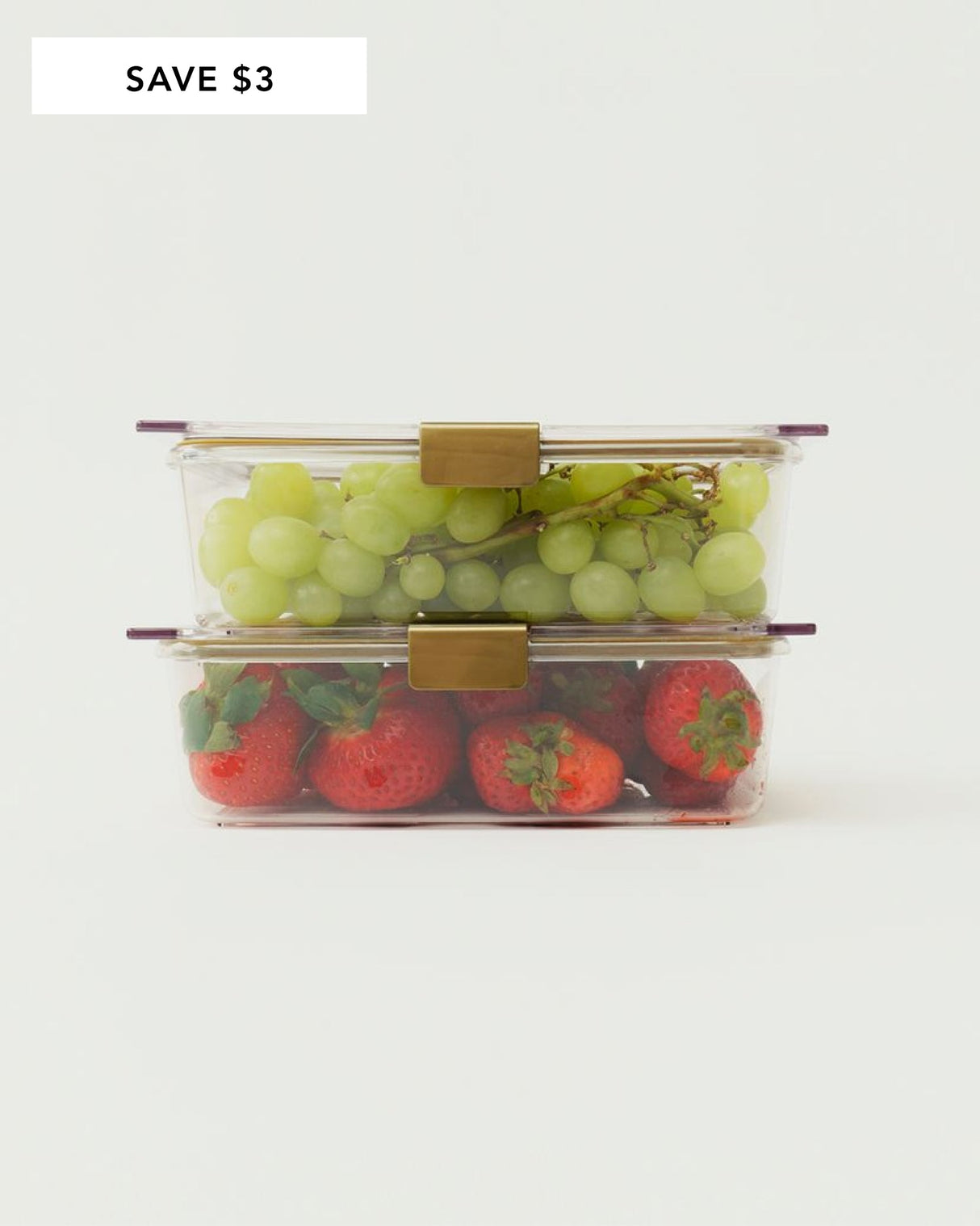 The Food Container - 2 Set (8.27 x 5.78 x 2.52 in) - Sumiye Co