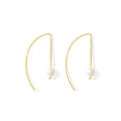 Freshwater Pearl Hook Earrings-0