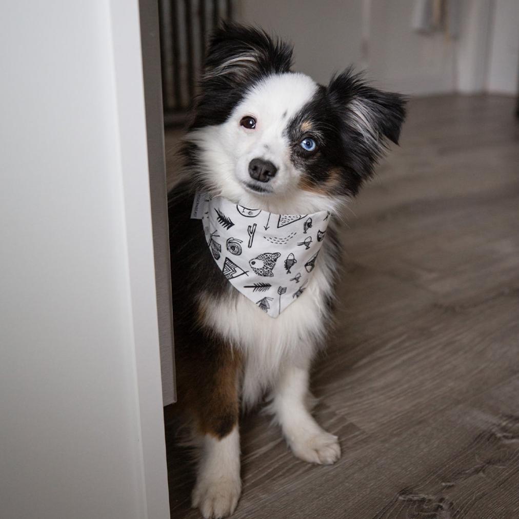 Pet Adventure Bandana - Sumiye Co