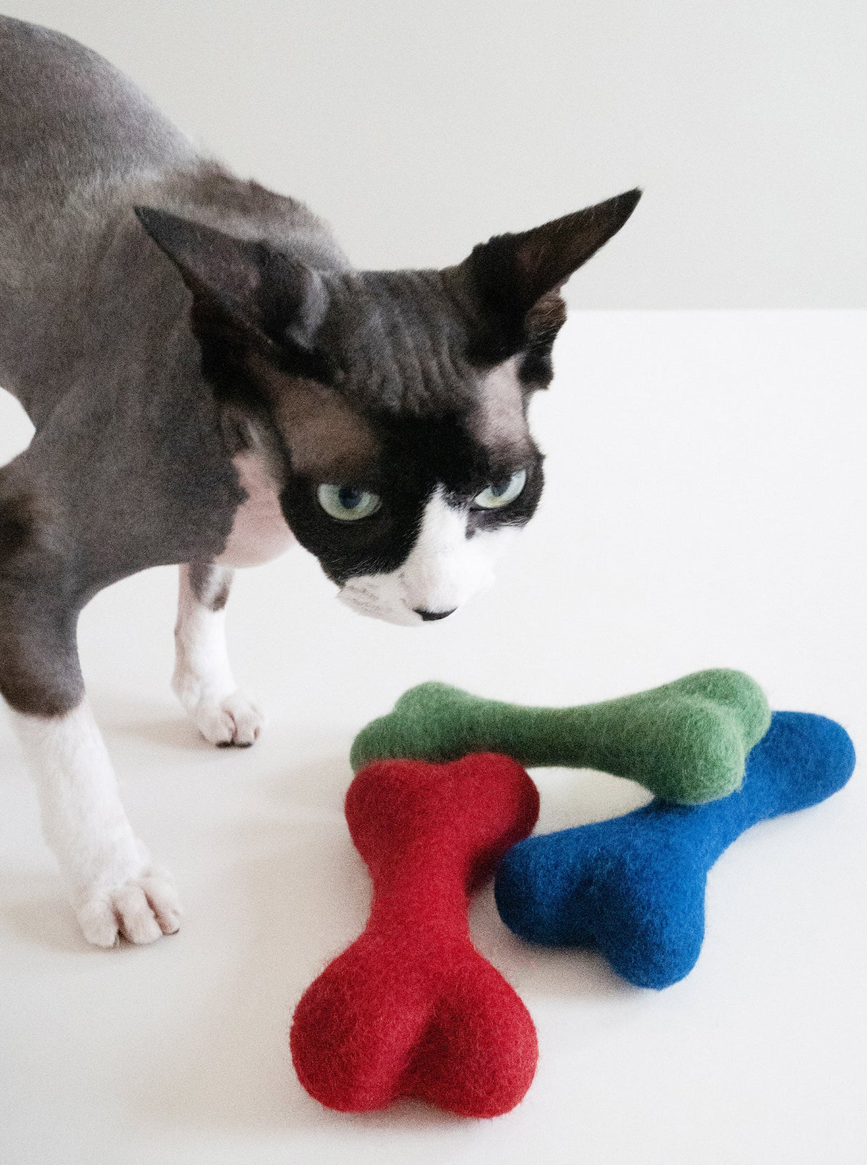 Pet Toy MB Woolbone - Sumiye Co