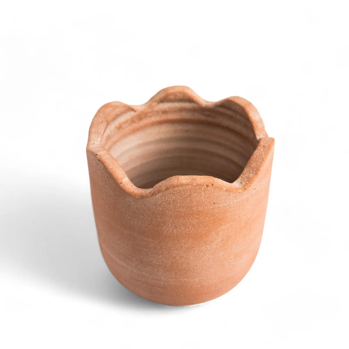 Wavy Planter - Medium