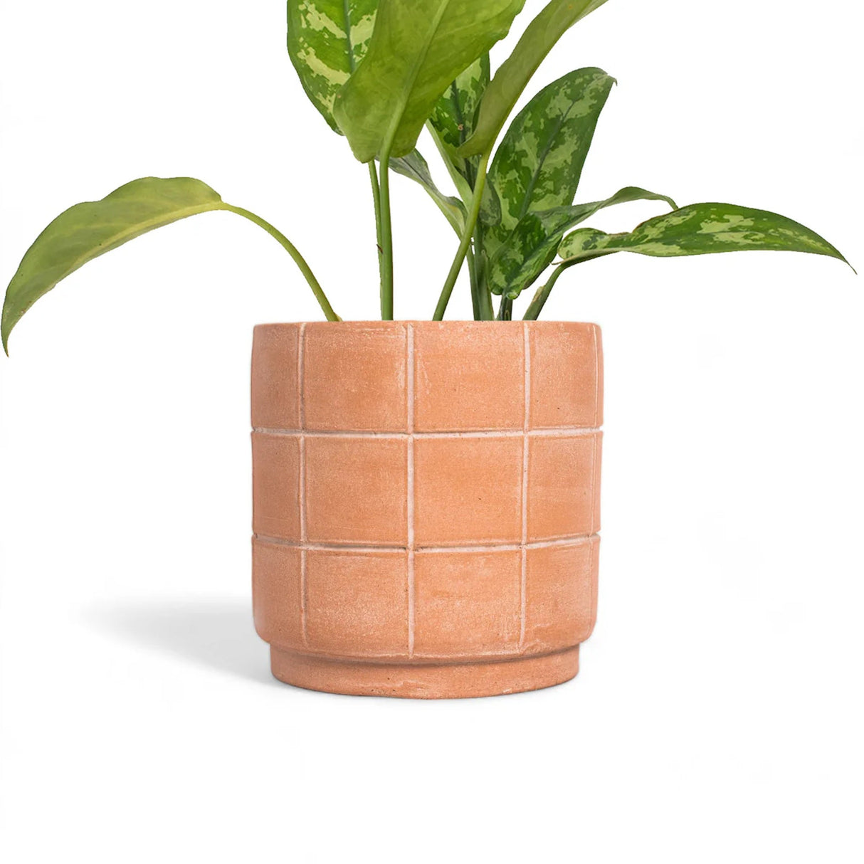 Grid Terracotta Planter - Small - Sumiye Co