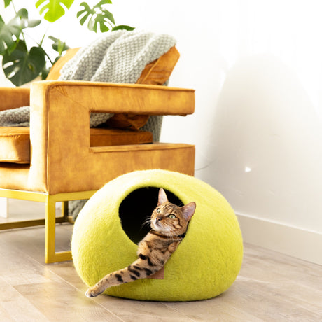 Premium Felted Wool Cat Cave Bed - Citrus Green - Sumiye Co