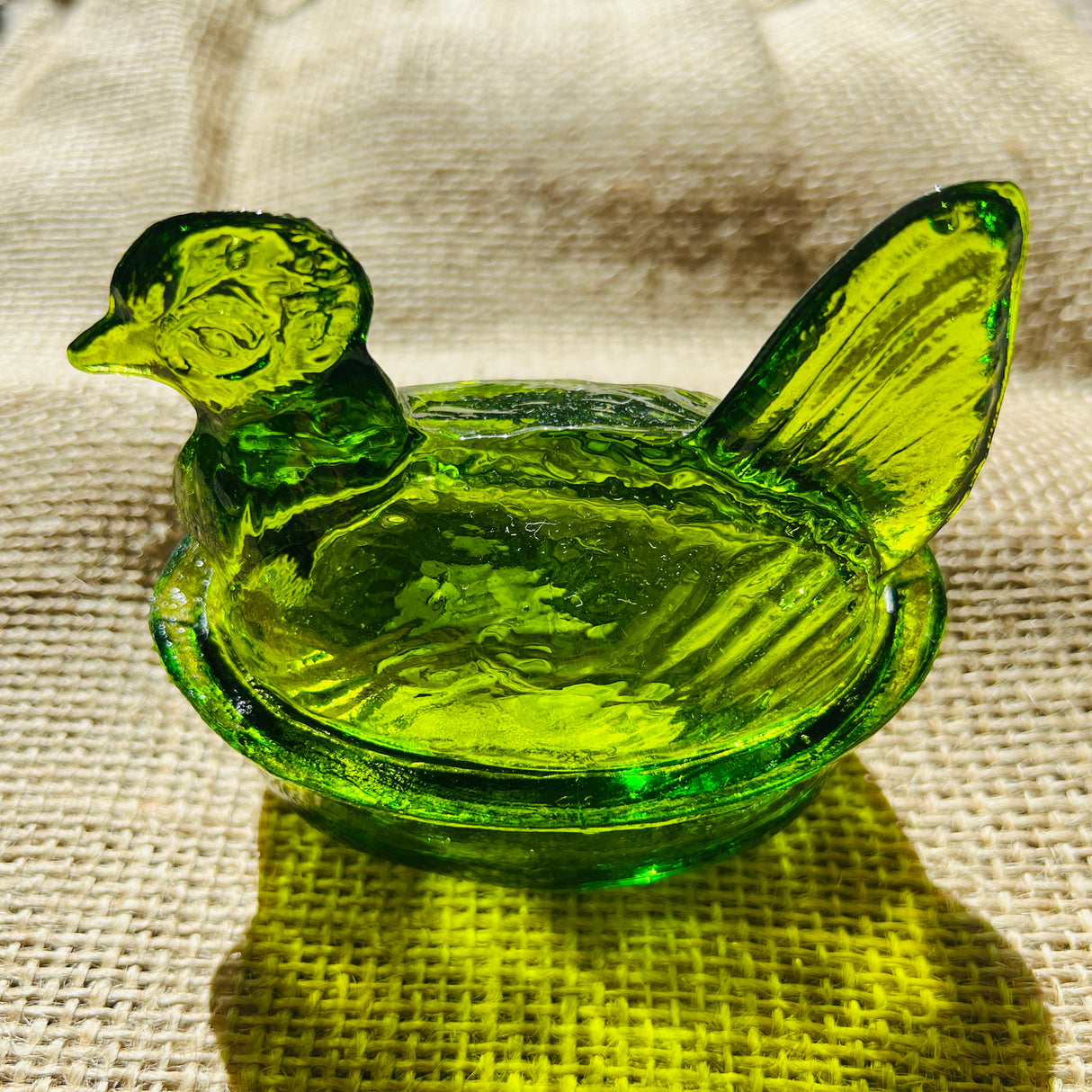 Nesting Hen Bowl & Lid - Moss | Hand Blown Glass - Colombia - Sumiye Co