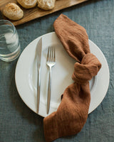 Stone Washed Linen Napkins, Terracotta - set of 4 - Sumiye Co