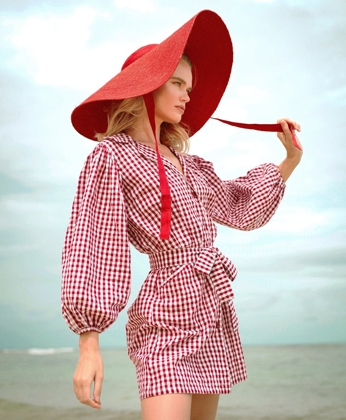 Red Mini Gingham Dress - Sumiye Co