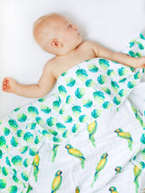 Organic Snug Blanket - Parrots-1