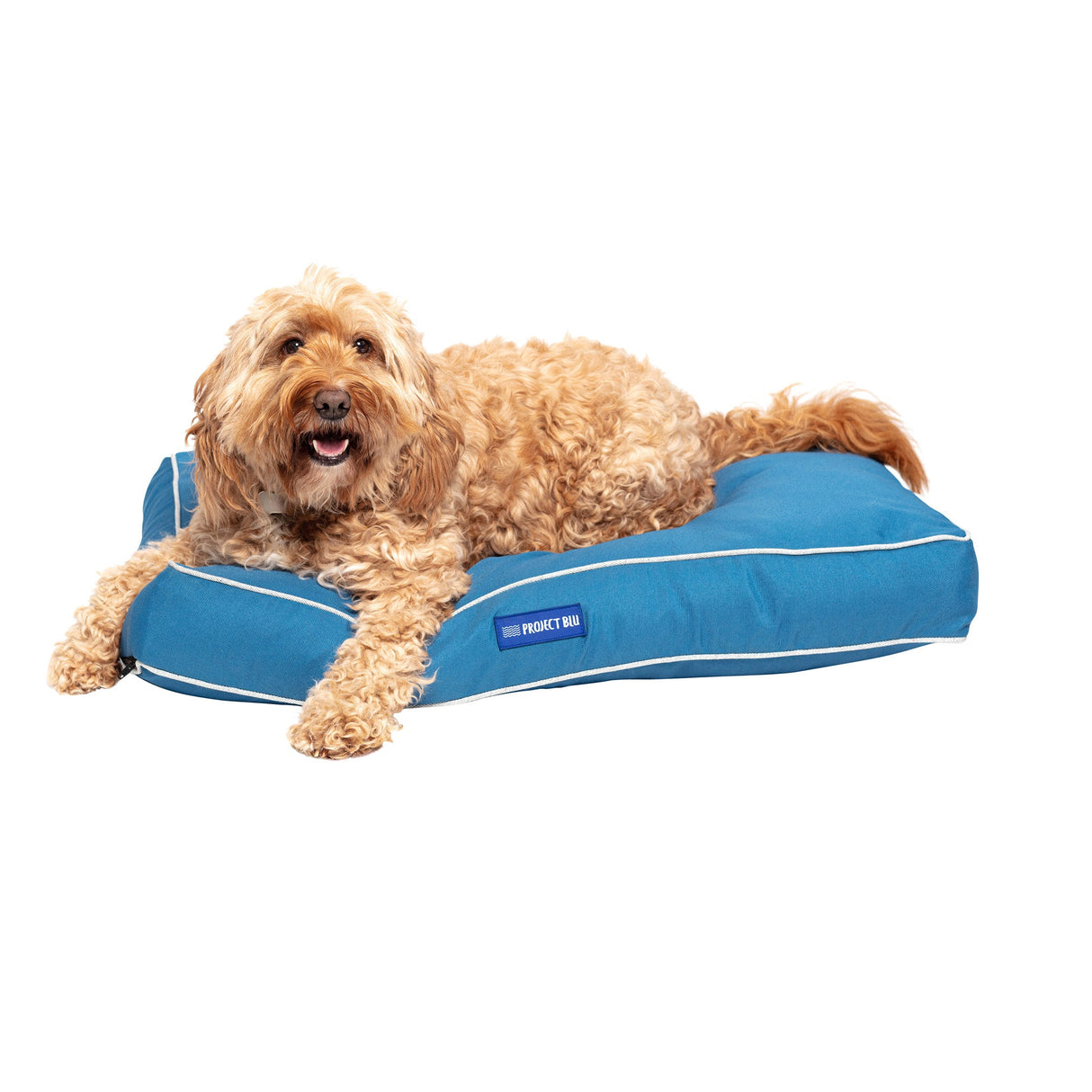 Marlin Eco-Fabric Mattress Dog Bed-2