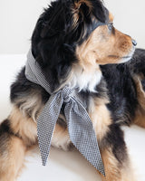 Pet Classic Necktie