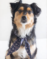 Pet Classic Necktie