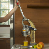 Artisan Citrus Juicer - Large - Sumiye Co