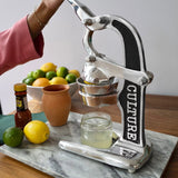 Artisan Citrus Juicer - Small - Sumiye Co