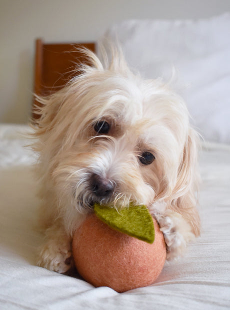 Pet Toy Doggy Peach