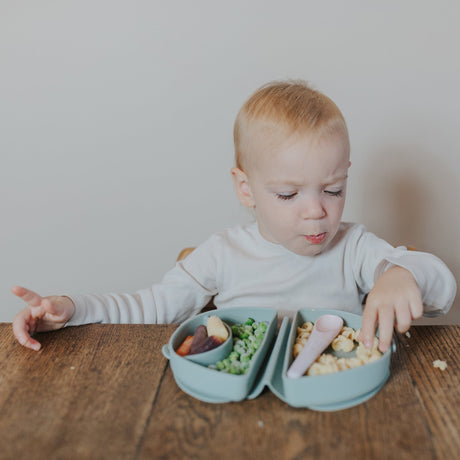 Silifold: Compact Children's Portable Plate - Chickory