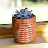 Succulent Basket Planter - Sumiye Co