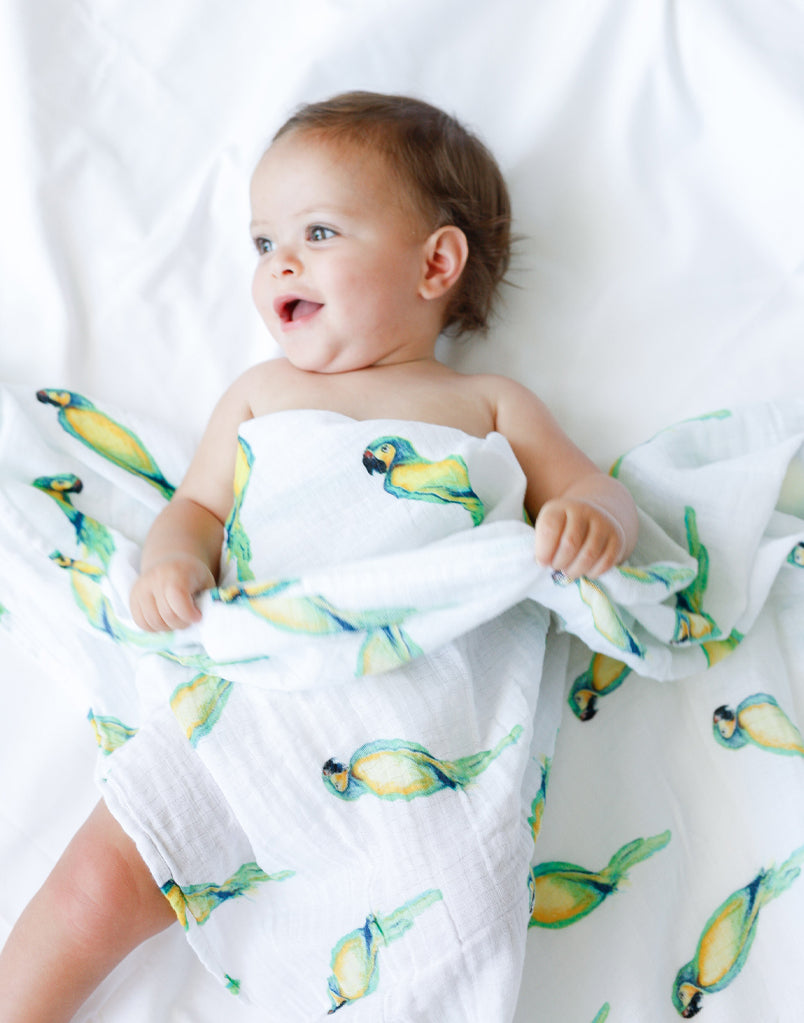 Organic Swaddle - Parrot-1