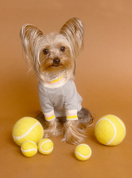 PELOTA DE TENIS DE LANA DE JUGUETE PARA MASCOTAS