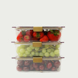 The Food Container - 3 Set (8.27 x 5.78 x 2.52 in) - Sumiye Co