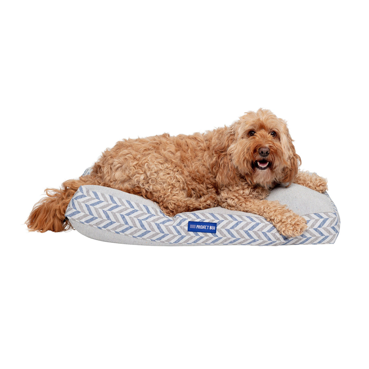 Waikiki Eco-Fabric Mattress Dog Bed-2