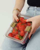 The Food Container - 4 Set (8.27 x 5.78 x 2.52 in) - Sumiye Co