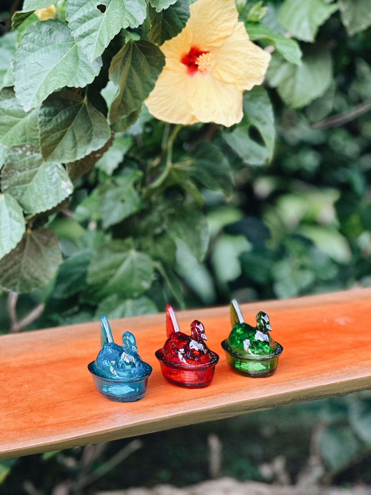 Nesting Hen Bowl & Lid - Orange (Set of 6) | Hand Blown Glass