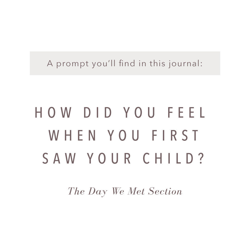 Adoption History Journal - Grey Linen