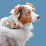 Pet Adventure Bandana - Sumiye Co