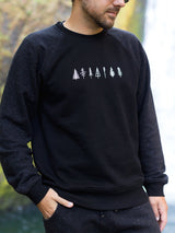 Arboretum Raglan Pullover