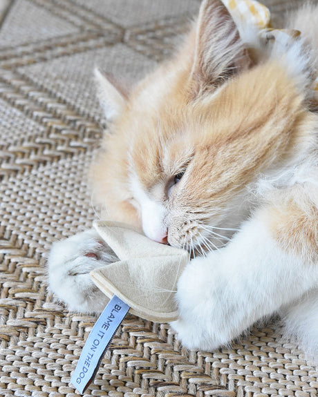 GALLETA DE LA SUERTE DE JUGUETE PARA GATITOS - La culpa es del perro