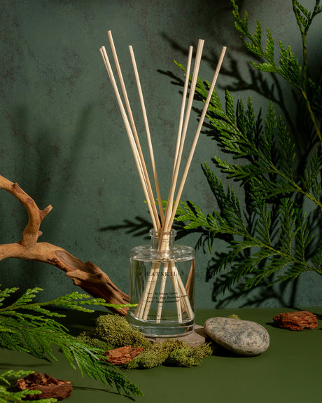 Catskills Reed Diffuser by Brooklyn Candle Studio - Sumiye Co