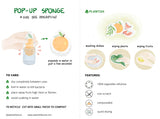 Peach - Pop up Sponge-3